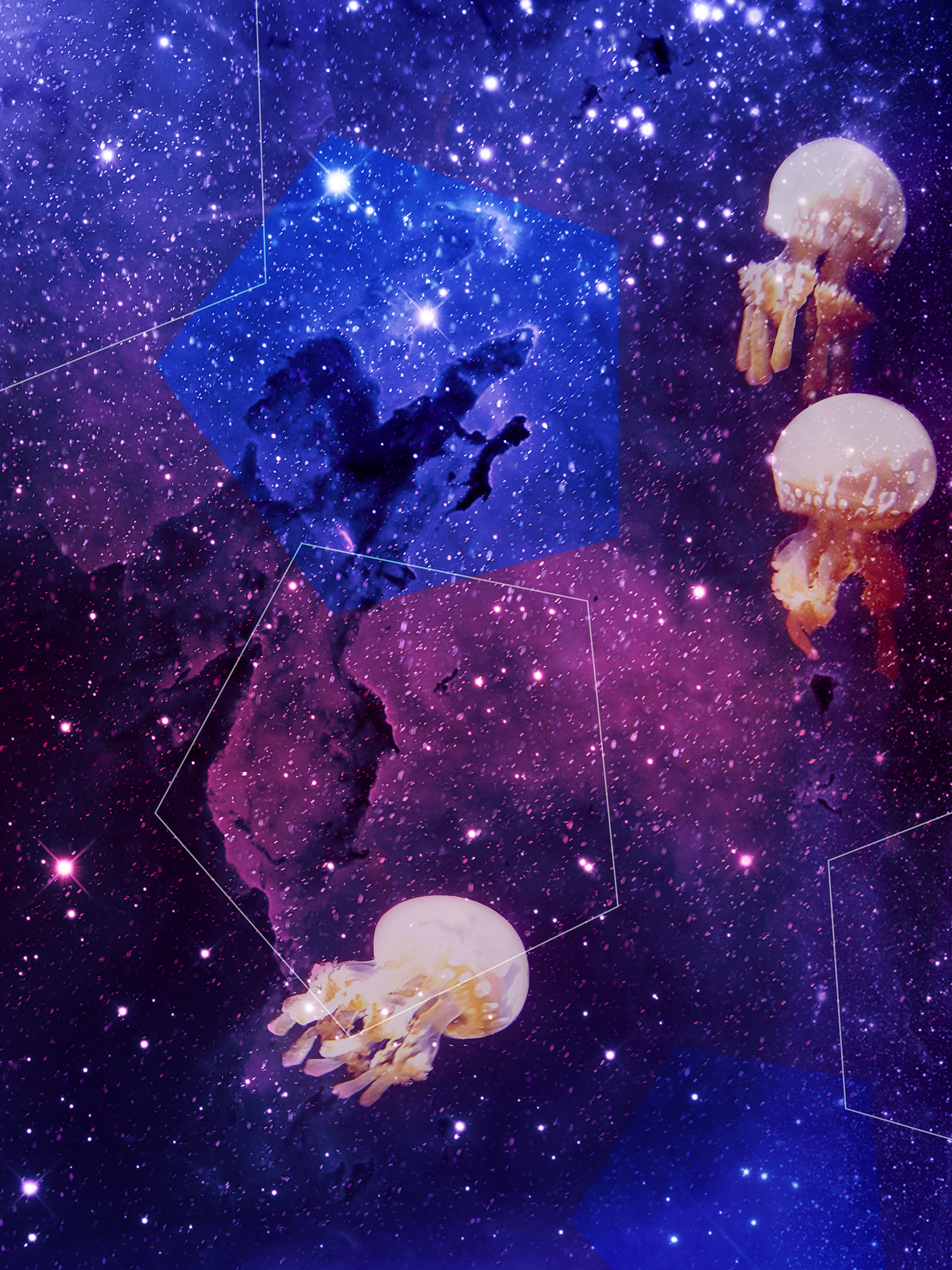 Jellyfish Cosmos